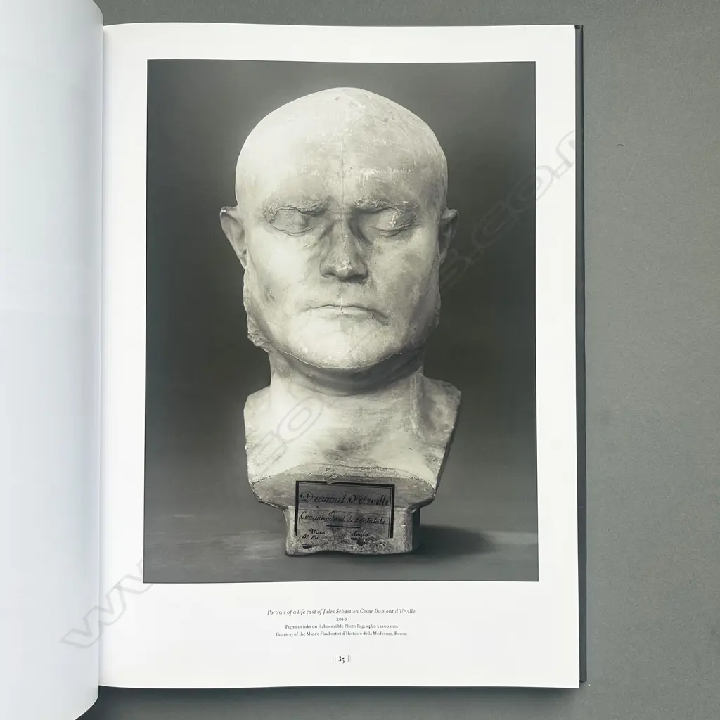 FIONA PARDINGTON: THE PRESSURE OF SUNLIGHT FALLING Image 1++